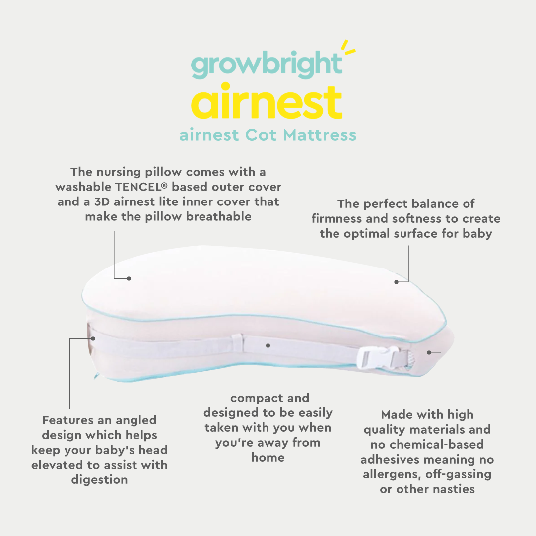 airnest Nursing Pillow